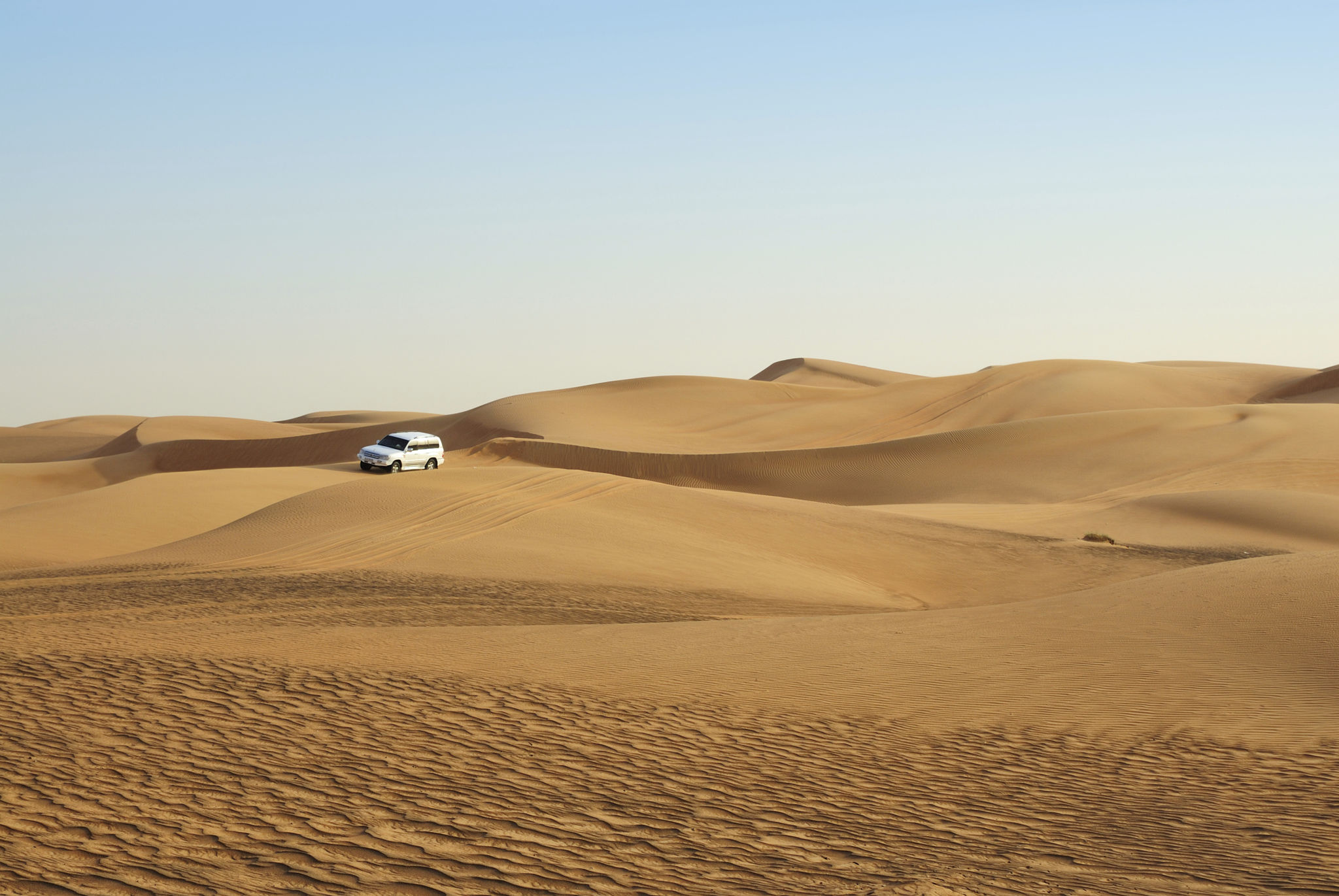 Desert safari Desert safari