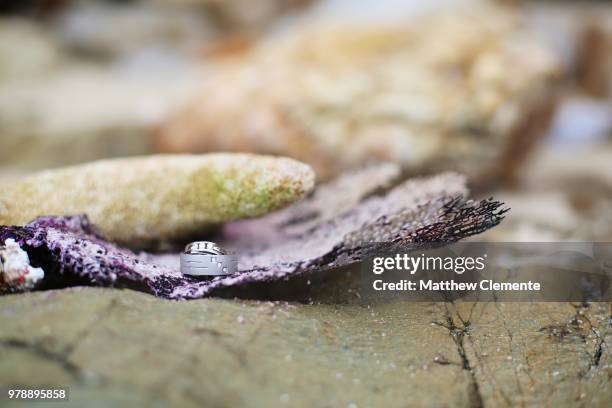 wedding rings - snake fruit stock pictures, royalty-free photos & images