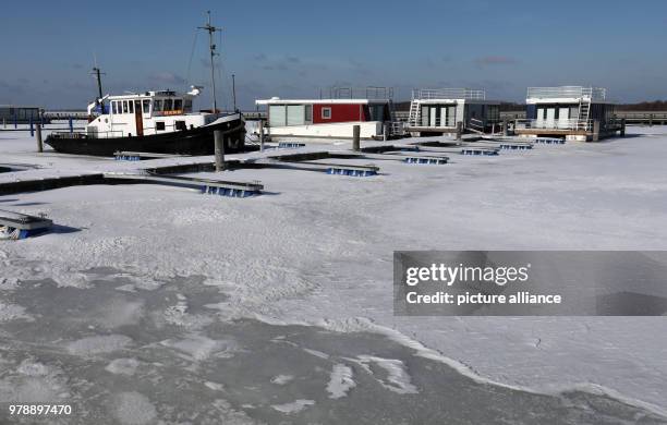 February 2018, Germany, Ribnitz-Damgarten: Swimming holiday homes and a working vessel lie at the Bodden harbour. According to the German...