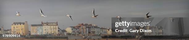 flight path - flight path stock pictures, royalty-free photos & images