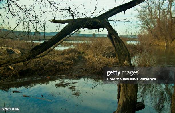 Zlatna Panega River Photos and Premium High Res Pictures Getty Images