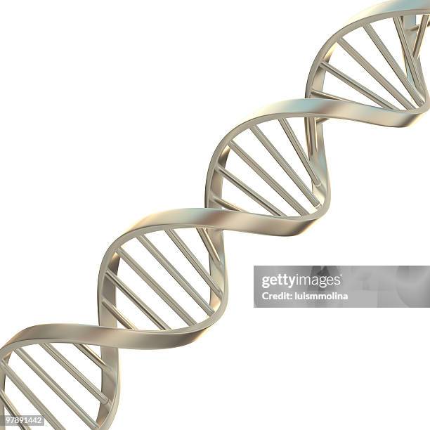 dna - helix model stock pictures, royalty-free photos & images