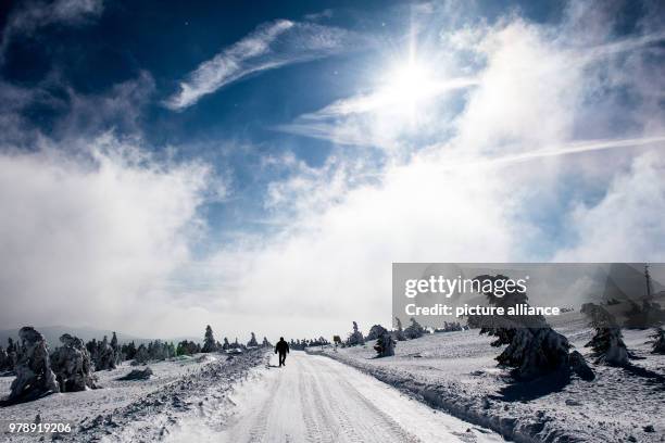 Hiker walking on the Brocken road along the snow-covered landscape of the Brocken peak in the Harz Mountains in Schierke, Germany, 01 March 2018....