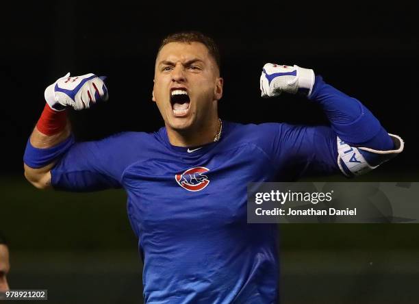 Albert Almora Jr. #5 of the Chicago Cubs celebrates after getting the game-winning hit in the 10th inning against the Los Angeles Dodgers at Wrigley...