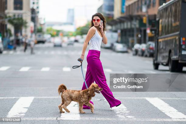 Danielle Campbell is seen wearing an Isabel Marant top, Trina Turk pants, BCBG shoes and Bulgari sunglasses in Chelsea on June 19, 2018 in New York...