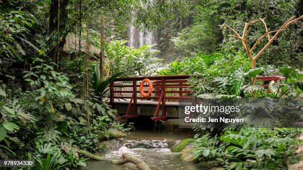 singapore jurong bird park waterfall - jurong bird park stock pictures, royalty-free photos & images