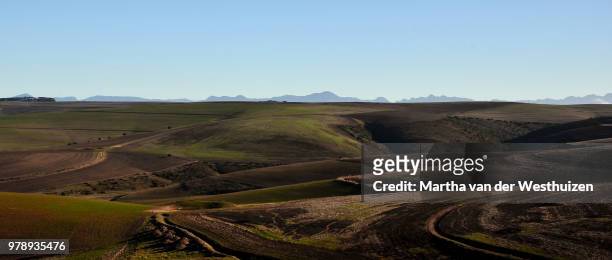 overberg hills - overberg stock pictures, royalty-free photos & images