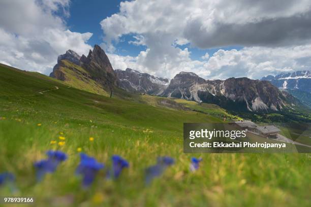 the odle group of dolomites mountains from the top of seceda slope - gebirgskette latemar stock-fotos und bilder