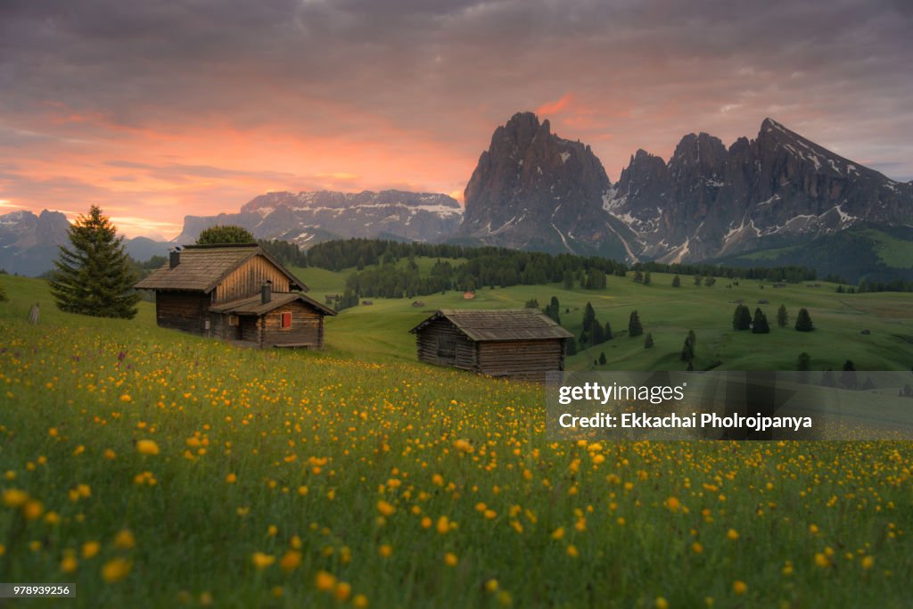 Seiser Alm - Alpe di siusi - view in the Dolomites, Italy