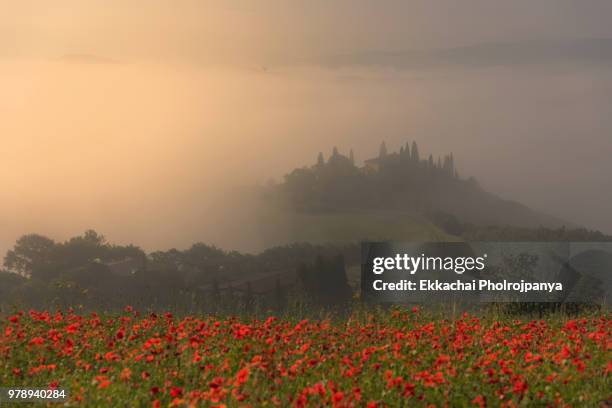 tuscany landscape with an old farmhouse surrounded by cypresses. (val d'orcia, tuscany). - asciano stock-fotos und bilder