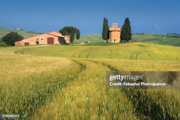 chapel vitaleta of san quirico d'orcia ,tuscany ,val d'orcia ,italy. - asciano stock-fotos und bilder