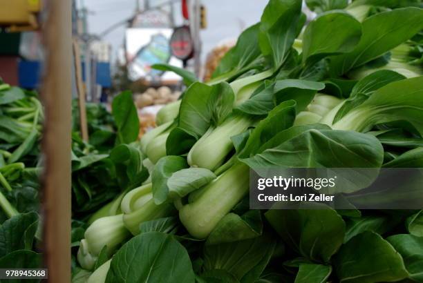 bok choy - bok choy stockfoto's en -beelden