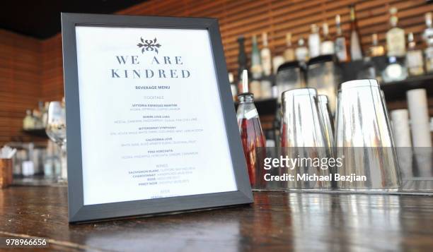 General view of the atmosphere as seen at We Are Kindred Resort Collection Launch at E.P. & L.P. On June 19, 2018 in West Hollywood, California.