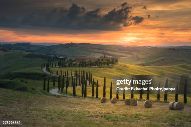 tuscany landscape with cypresses tree , val d'orcia ,toscana , italy. - pienza stockfoto's en -beelden