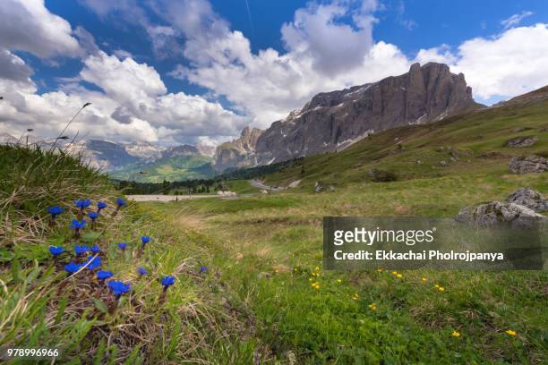 gardena pass and sella group,south tyrol,italy - gebirgskette latemar stock-fotos und bilder