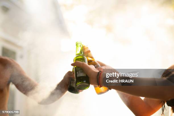 friends toasting beer bottles at resort. celebrating together. - beer bottle cheers stock pictures, royalty-free photos & images
