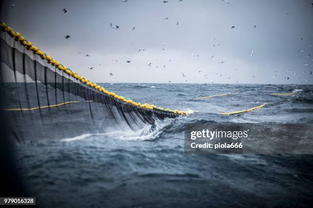 schleppnetz der industriellen fischereinetze - fishing industry stock-fotos und bilder