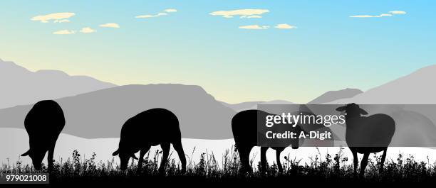 sunrise sheep pasture - sheep wool stock illustrations