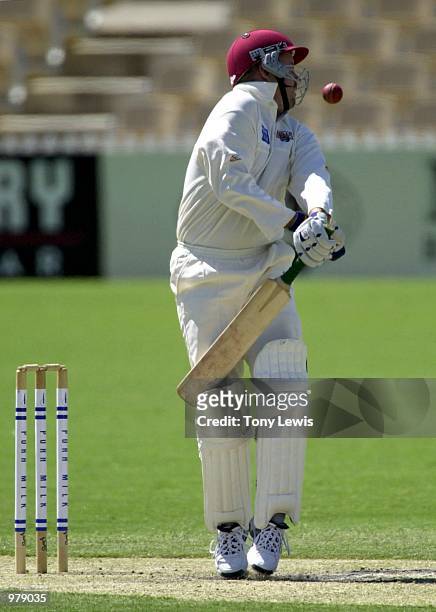 Queenslander Stuart Law is struck by a ball from Mark Harrity in the Pura Cup match between the South Australian Redbacks and the Queensland Bulls...