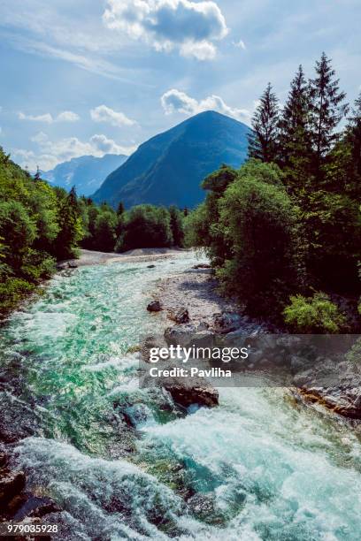 river soca close up,trenta valley,primorska,julian alps
sovenia,europe - slovenia soca stock pictures, royalty-free photos & images