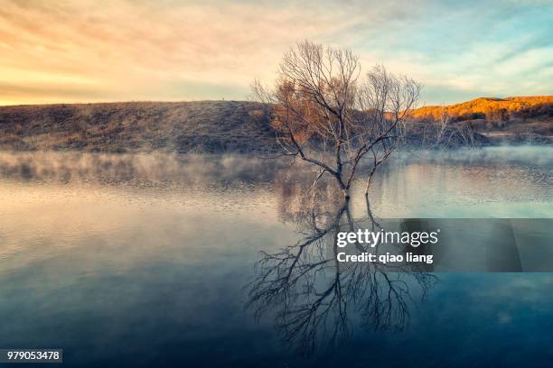 first rays of the morning sun - qiao stock pictures, royalty-free photos & images