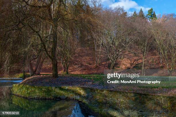 early spring in park - monsees stock-fotos und bilder