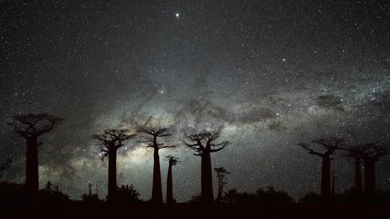 imagen en miniatura de vídeo