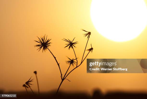 18 Stoffberg Stock Photos and High-Res Images