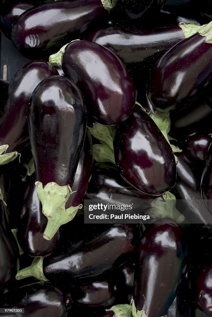 Aubergine 2