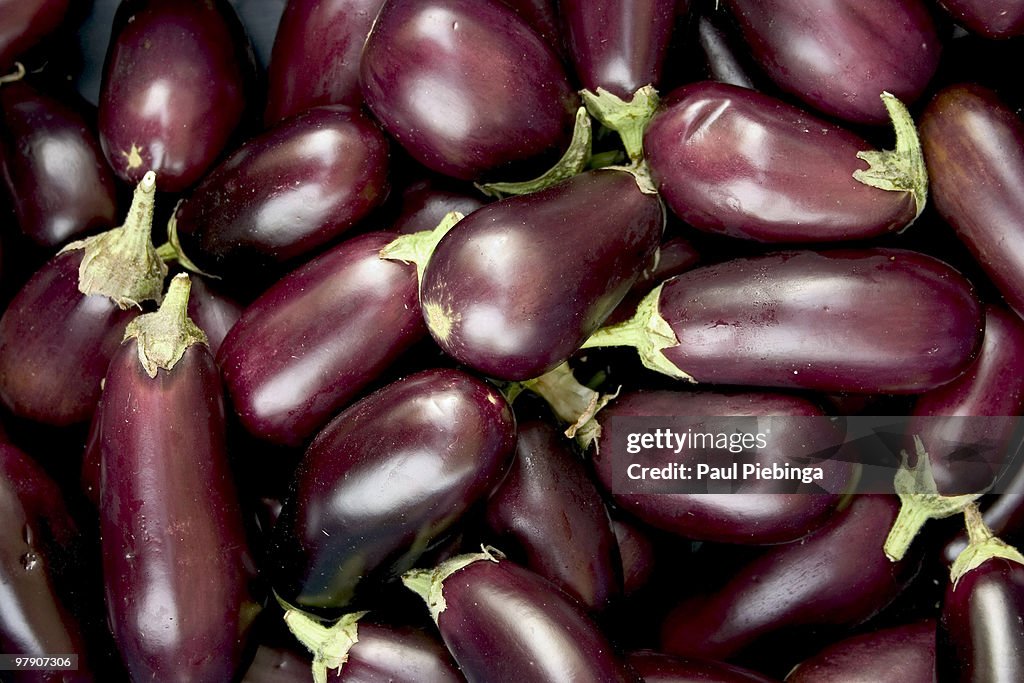 Eggplant