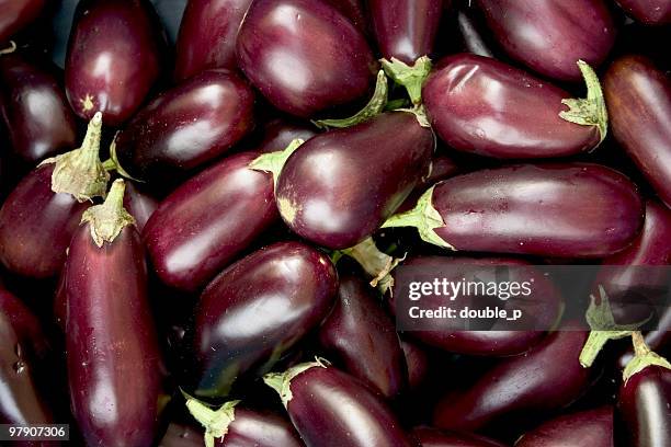eggplant - aubergine stock pictures, royalty-free photos & images
