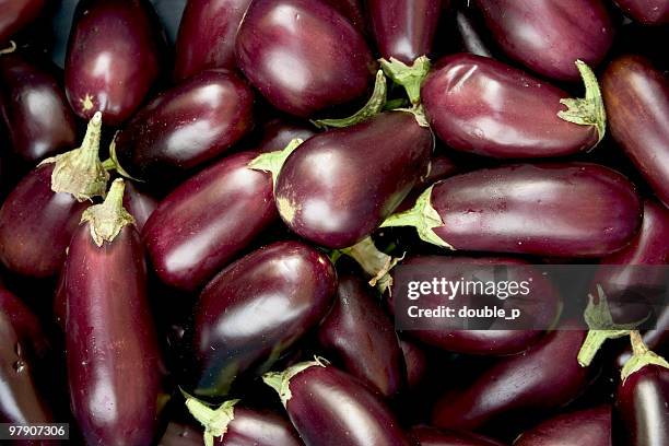 eggplant - eggplant stock pictures, royalty-free photos & images