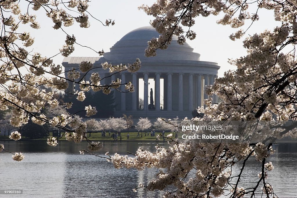 桜やジェファーソン記念館