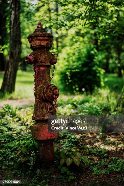 the hydrant - veg out imagens e fotografias de stock