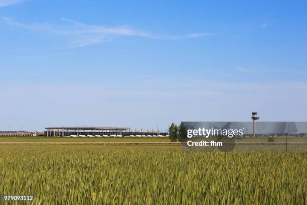 airport berlin-brandeburg ber / schönefeld airport terminal and flight control tower(brandenburg, germany) - flughafen berlin schönefeld stock-fotos und bilder