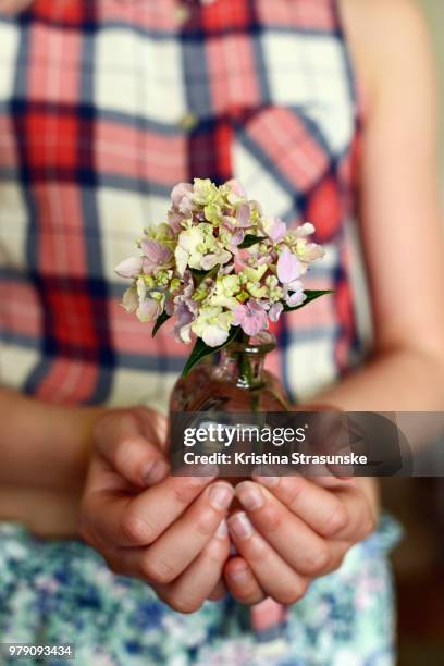 a girl holding a vase with hydrangea - kristina strasunske fotografías e imágenes de stock