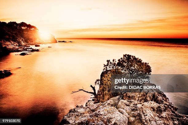 calella de palafrugell - calella de palafrugell fotografías e imágenes de stock