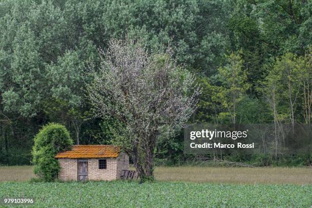 campagna toscana - campagna stock pictures, royalty-free photos & images