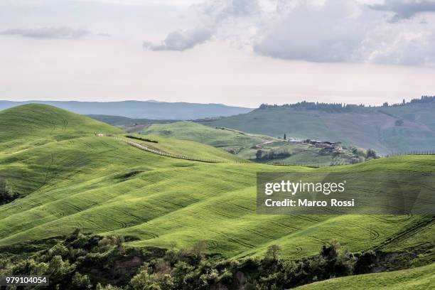 dolci colline 5 - colline stock pictures, royalty-free photos & images