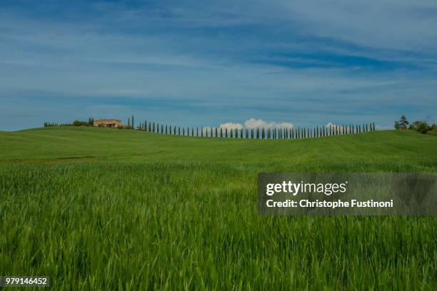 sogni toscani - sogni stock pictures, royalty-free photos & images