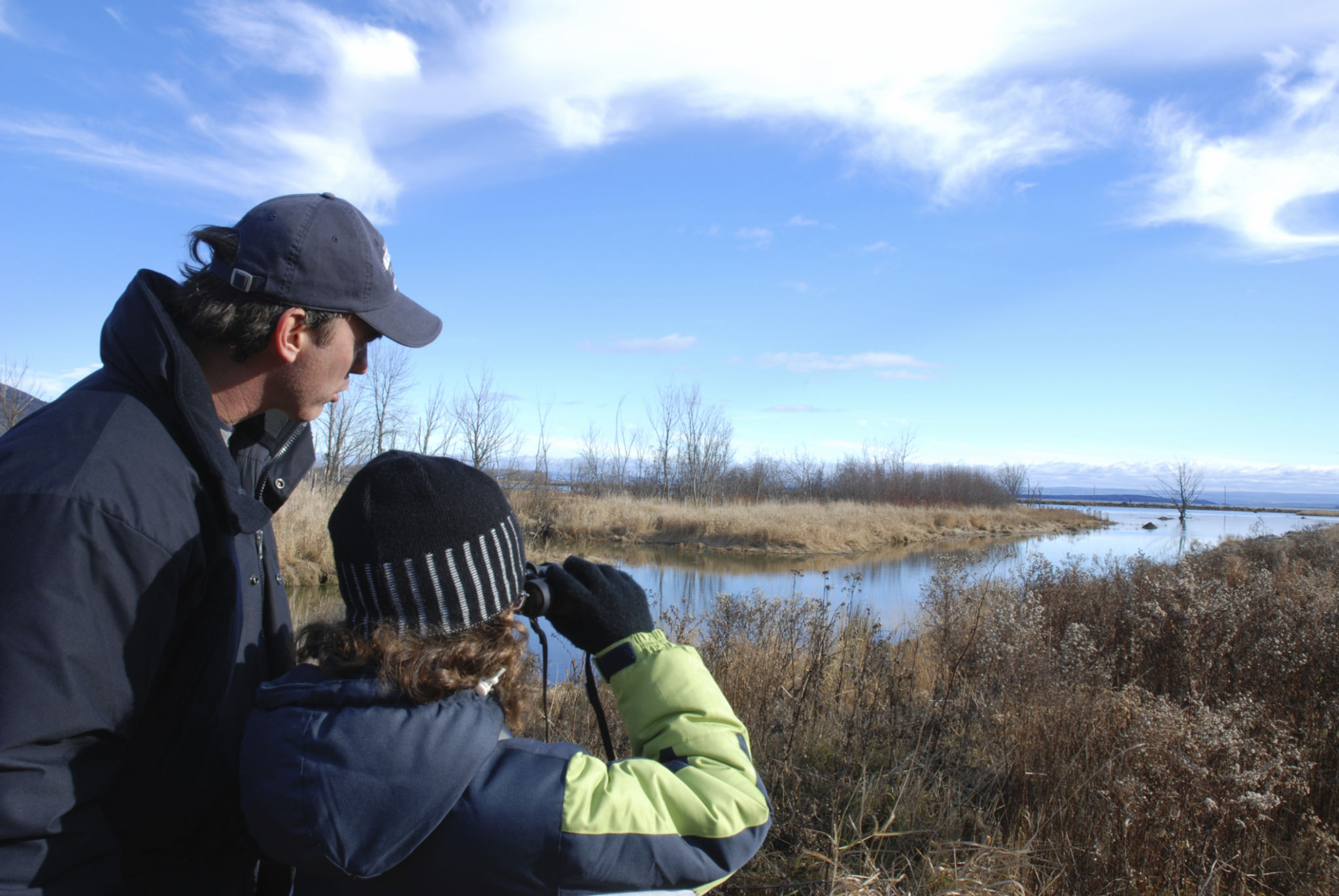 bird tracking