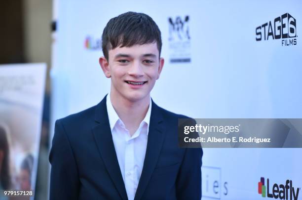 Actor Lewis MacDougall attends the premiere of Sony Pictures Classics' "Boundries" at American Cinematheque's Egyptian Theatre on June 19, 2018 in...