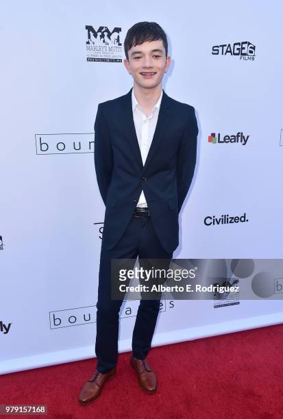 Actor Lewis MacDougall attends the premiere of Sony Pictures Classics' "Boundries" at American Cinematheque's Egyptian Theatre on June 19, 2018 in...