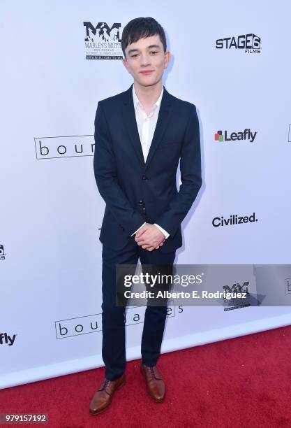 Actor Lewis MacDougall attends the premiere of Sony Pictures Classics' "Boundries" at American Cinematheque's Egyptian Theatre on June 19, 2018 in...