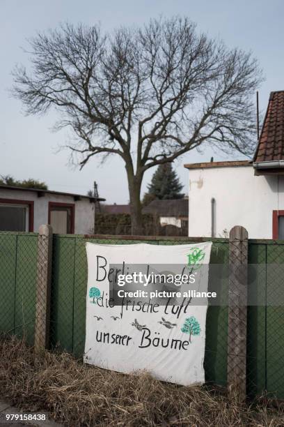 March 2018, Germany, Berlin: A banner reads 'Berlin braucht die frische Luft unserer Baeume' in the region 'Blankenburger Sueden' in Pankow. Instead...