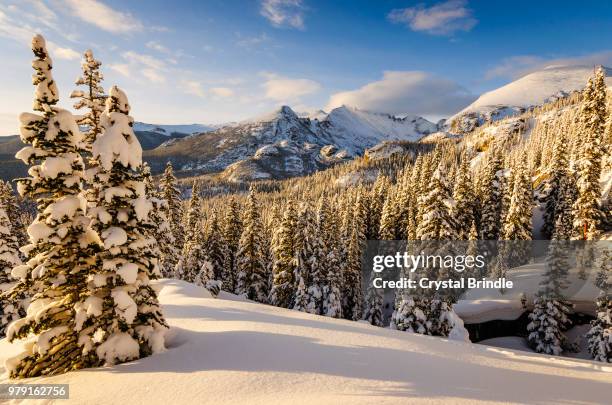 landscape with snowy mountain, rocky mountain national park, colorado, usa - brindle stock pictures, royalty-free photos & images