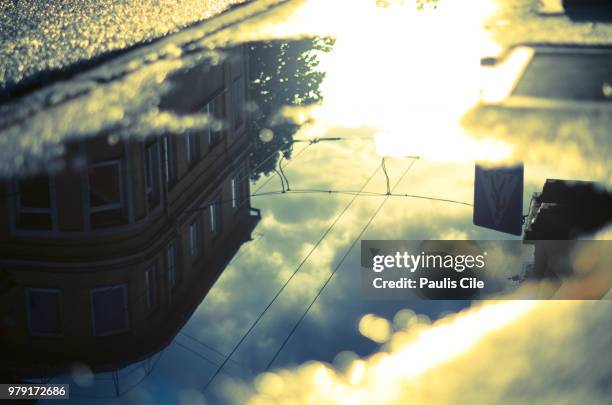 Raffe Paulis 1,823 Paulis Stock Photos, High-Res Pictures, and Images - Getty Images
