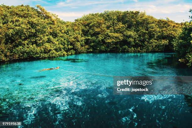 woman floating in an open cenote in tulum, mexico - cenote stock-fotos und bilder