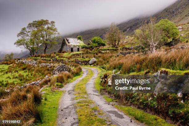 path to old house, mountains and mist, county kerry, munster, ireland - kerry ireland stock pictures, royalty-free photos & images