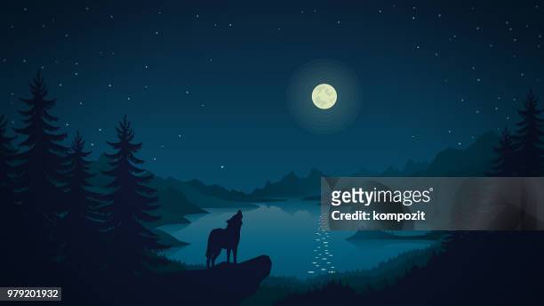 stockillustraties, clipart, cartoons en iconen met nacht landschap - de wolf howls op de maan - indrukwekkend landschap